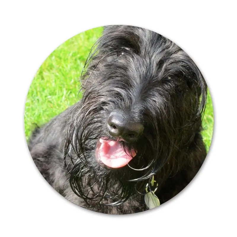 Шотландского терьера Собака Щенок значок брошь заколка аксессуары для одежды