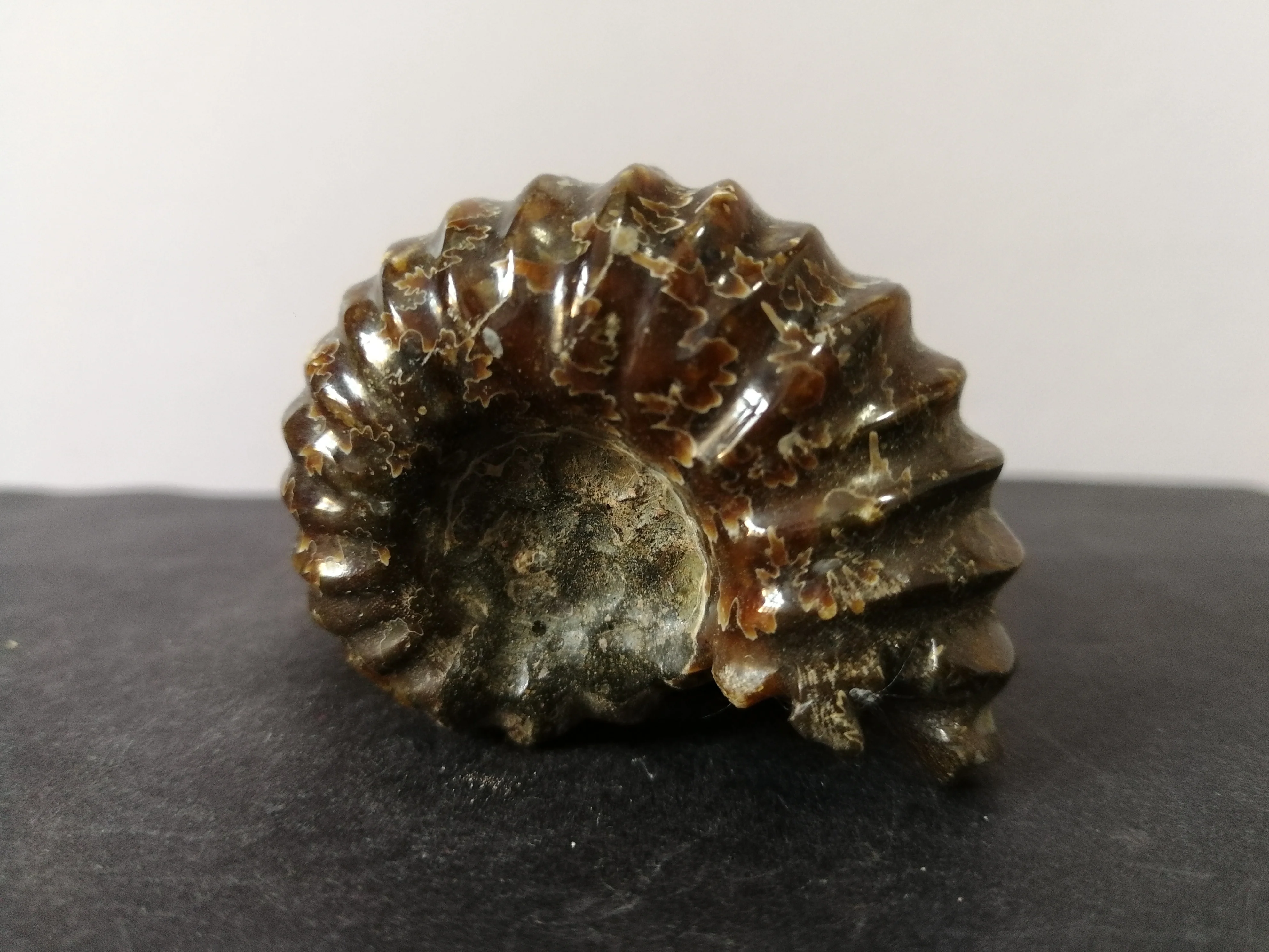 

76.9gNatural ammonite, crystal, quartz specimen energy healing