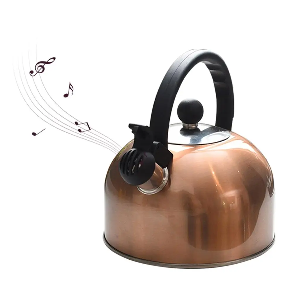 Чайник кухонный из нержавеющей стали 2 5 л с термостойкой ручкой|Чайники| |