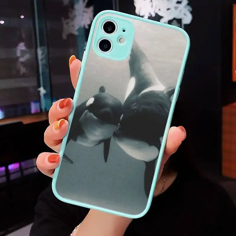 

Killer Whale Orca Phone Cases Matte transparent For blue iPhone 12 Mini 11 Pro XR XS Max 7 8 Plus X Back Cover