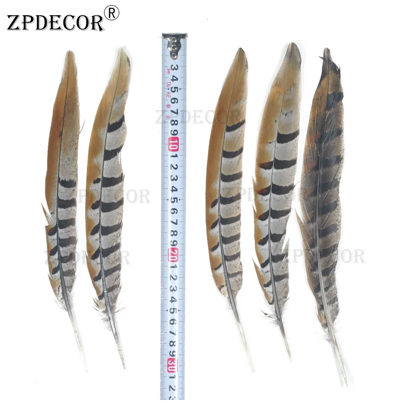 ZPDECOR 25-30 см 10-12 дюймов Висячие фазаньи | Дом и сад