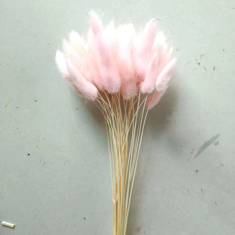 OA0540P 30Pcs/lot Natural Dried Flower Colorful Lagurus Ovatus Real Flower Bouquet for Home Wedding Decoration Rabbit Tail Grass Bunches - Цвет: OA0540P