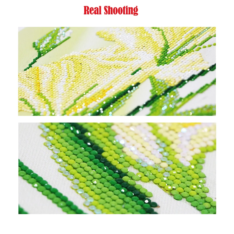 Вуюу 5D DIY алмазная живопись полный 14/11CT крест стежка квадратные/круглый дрель L2026