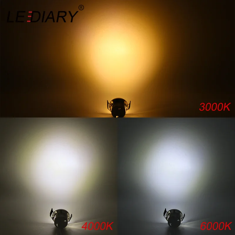

LEDIARY WiFi Smart Controller Dimmable Downlights Multi Function APP Control Timer Mode Voice Control Light Fixture CE ROHS