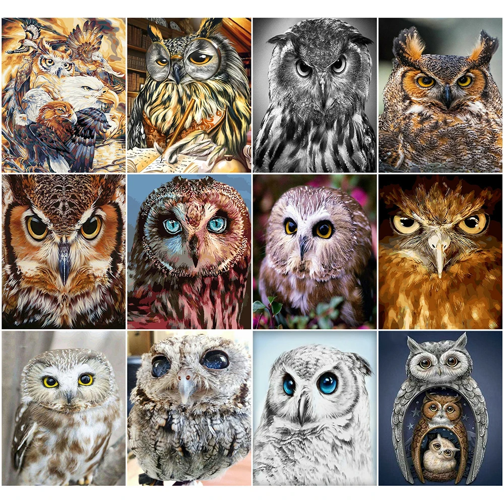 

AZQSD DIY Coloring By Numbers Animal Home Bedroom Wall Artwork Acrylic Paint 40x50cm Oil Painting By Numbers Owl Handmade Gift