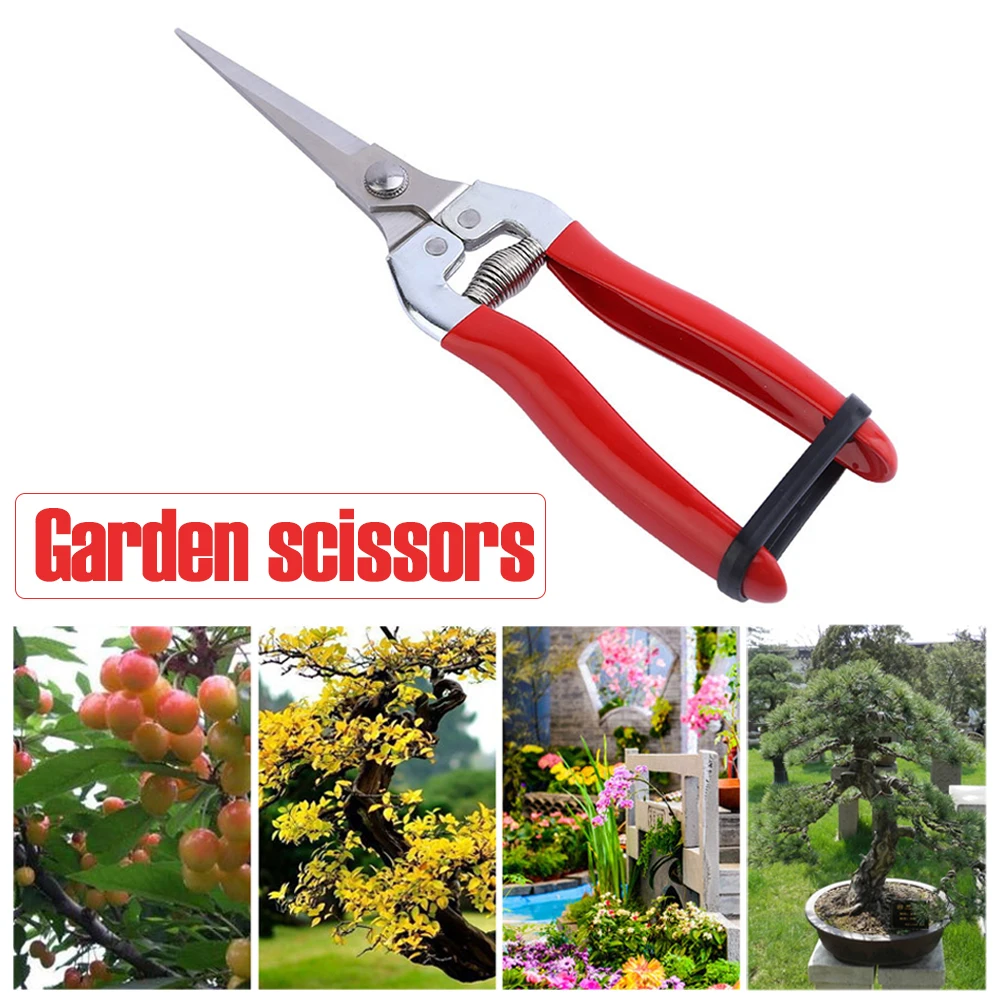 

Gardening flowers plants fruits vegetables pruning pointed stainless steel garden shears
