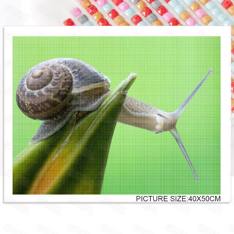 

Diy Diamond Painting Small Animals Mini Snail Personality Decorative Painting Hanging Painting Modern Fashion Wall Mural