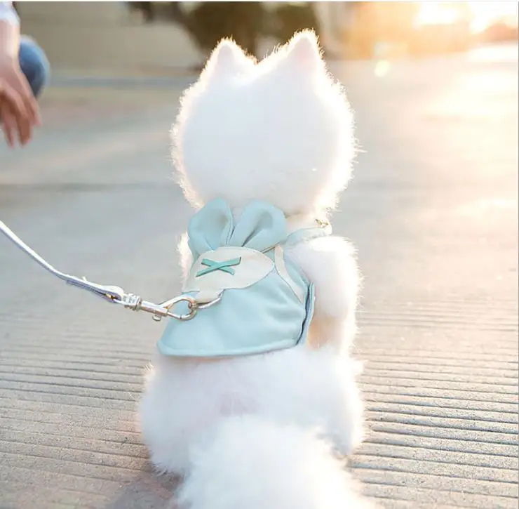 

Набор поводков и поводков для маленьких собак, жилетка для кошек, сетчатая дышащая Милая Одежда для маленьких щенков, чихуахуа, йоркширов, М...