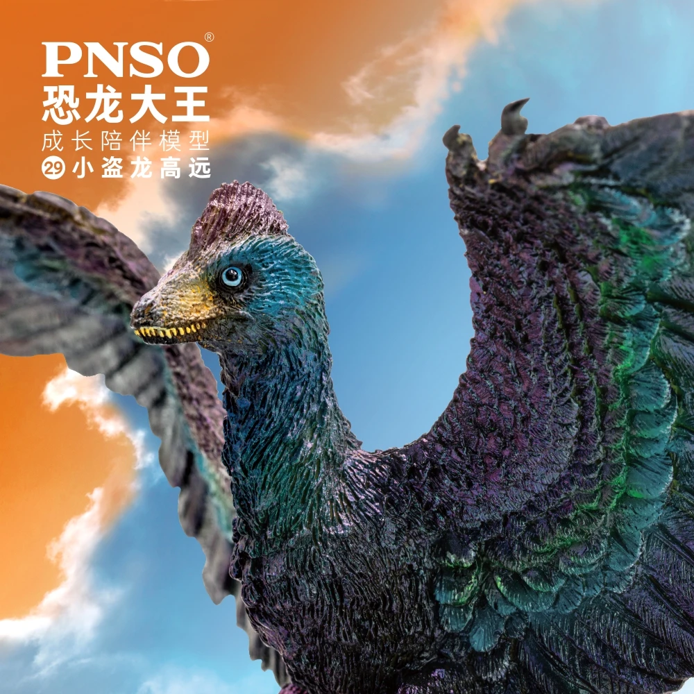 PNSO-dinosaurio prehistorico, modelos: 29 Gaoyuan, El Microraptor-0