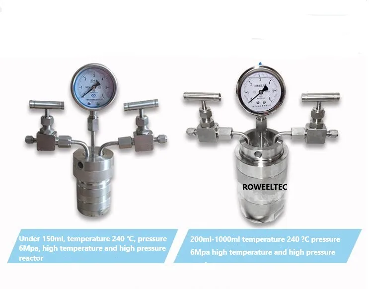 Автоклав с гидротермосинтезирующим реактором камерой из ПТФЭ 100 мл 6 МПа газовым