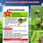 Металлические гранулы 30 г, инсектицид, моллюскоцид, инсектицид, уничтожение слизи, улитки, фарфоровые насекомые, мягкие вредители