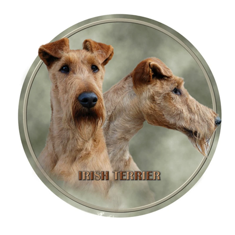 S40387 # различные размеры ПВХ наклейка ирландский комплект собака V2 животные