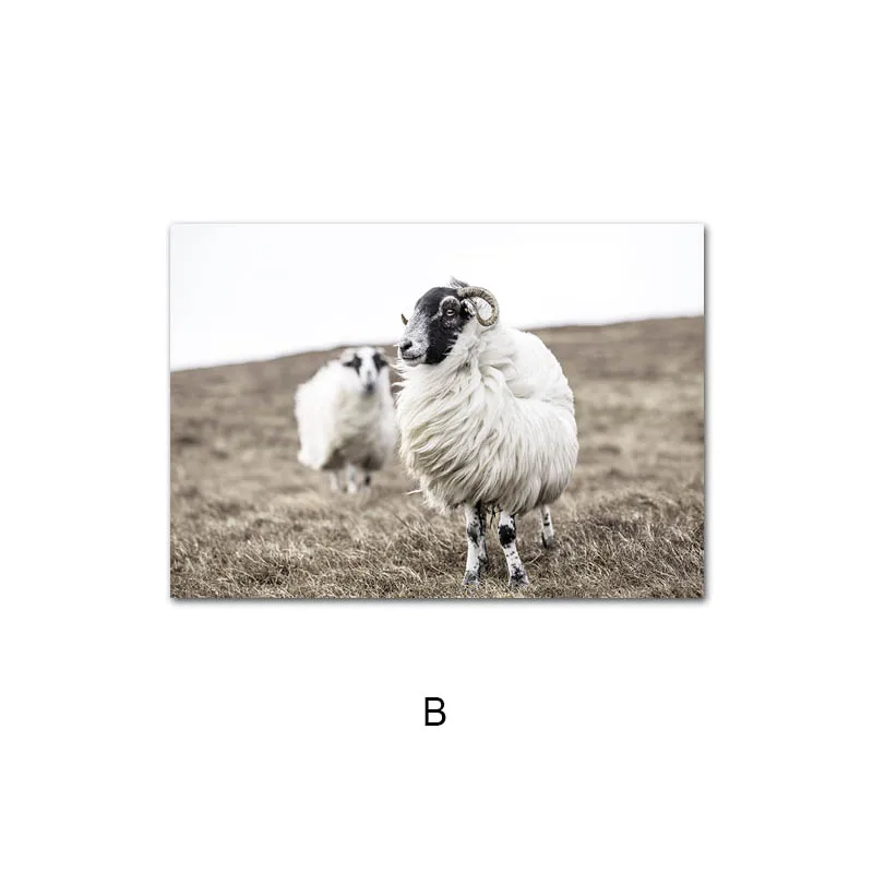 

Aurora Lake Reflection Sheep Nature Scenery Canvas Painting Scandinavian Poster Art Print Nordic Wall Picture Home Decoration