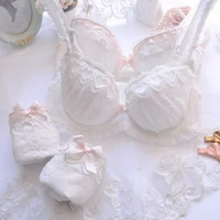 japanese sexy girls underwear bras thongs lace lingerie set plus suze women gather embroidery underwire push up bra and panty