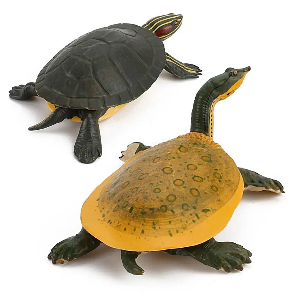

Animal Simulation Tortoise Desktop Ornament Kid Present Educational Model Doll