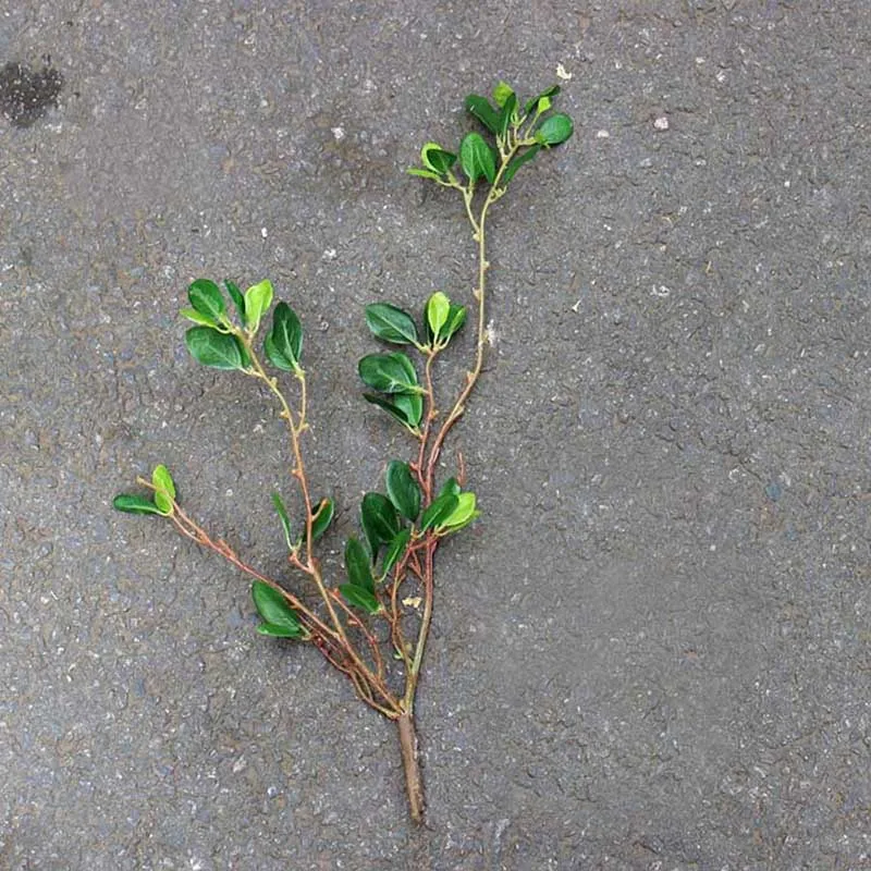 Украшения для сада с рисунком яблоня и листовые искусственные растения зеленой