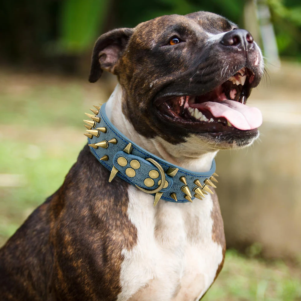 

Spiked Studded Small Large Cat Collar Rivet Accessory Hond Neck Strap For Kitten Necklace Leather PU Pitbull BullCat Pet