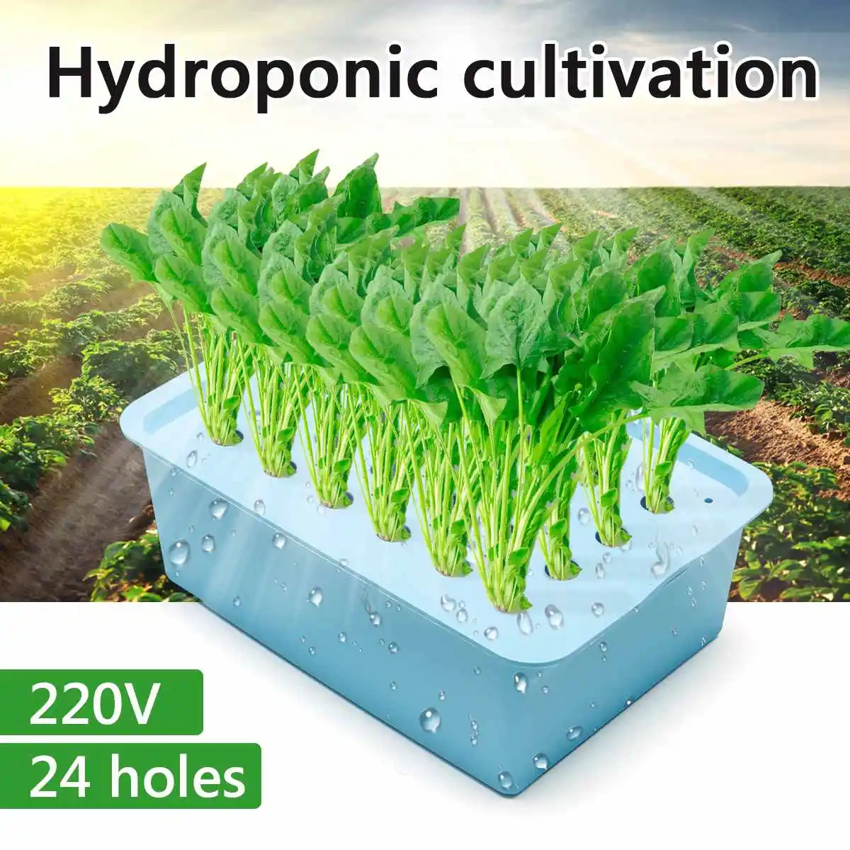 

220V Plants Site Hydroponic Systems 6 Holes Nursery Pots Soilless Vegetables Cultivation Growing Box With Air Pump