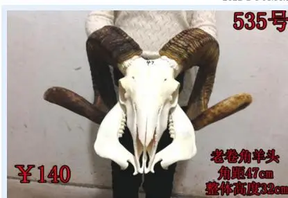 Голова ремесел из натуральной овцы голова черепа кулон Тибетские ремесла