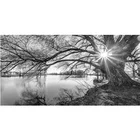 Алмазная 5D Вышивка сделай сам, черно-белая картина с пейзажем деревьев, полная круглая квадратная фотография