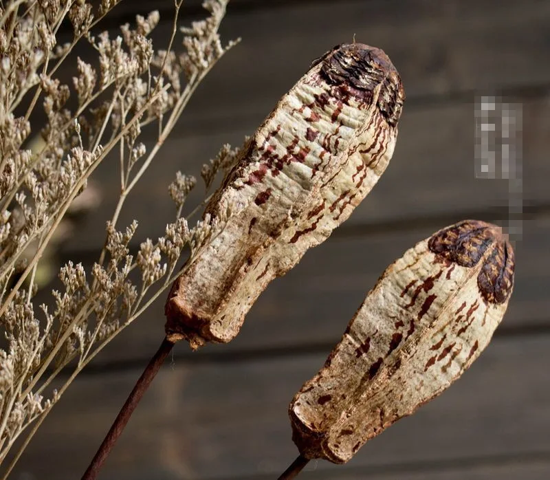 Европейский для наземного домашнего интерьера цветок сушеные цветы украшение