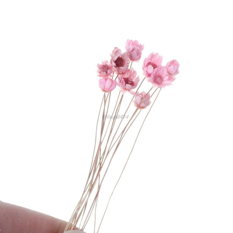 12 штук упак. кристальная эпоксидная форма УФ-клей мини Дейзи сушеный цветок