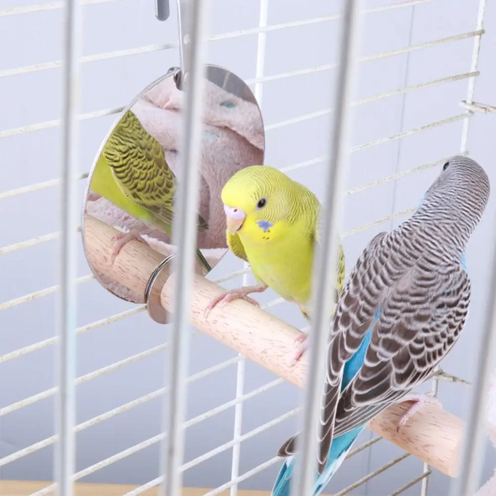 Птичье игрушечное зеркало в виде попугая качели деревянная подставка попугай