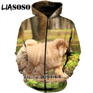 Толстовка с капюшоном для мужчин и женщин, уличная одежда в стиле Харадзюку, свитшот на молнии с длинным рукавом и принтом 3D, аниме, A370