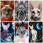 5D полноразмерная Алмазная картина сделай сам с изображением кошки сфинкса, мозаика, алмазная вышивка, полный комплект, мультяшная картина с животными