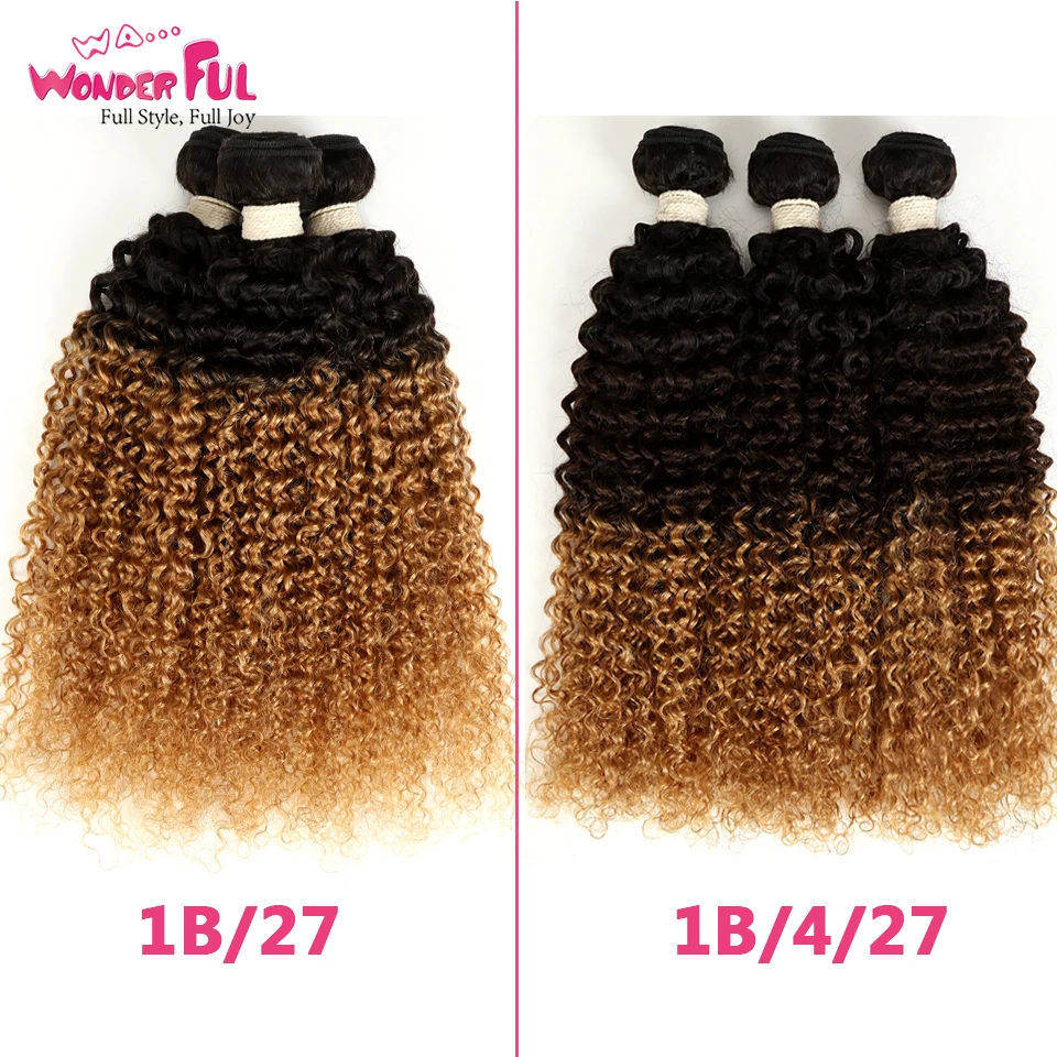 1 шт. кудрявые малайзийские волнистые пряди волос Омбре T1B/4/27/30/99j двухцветные