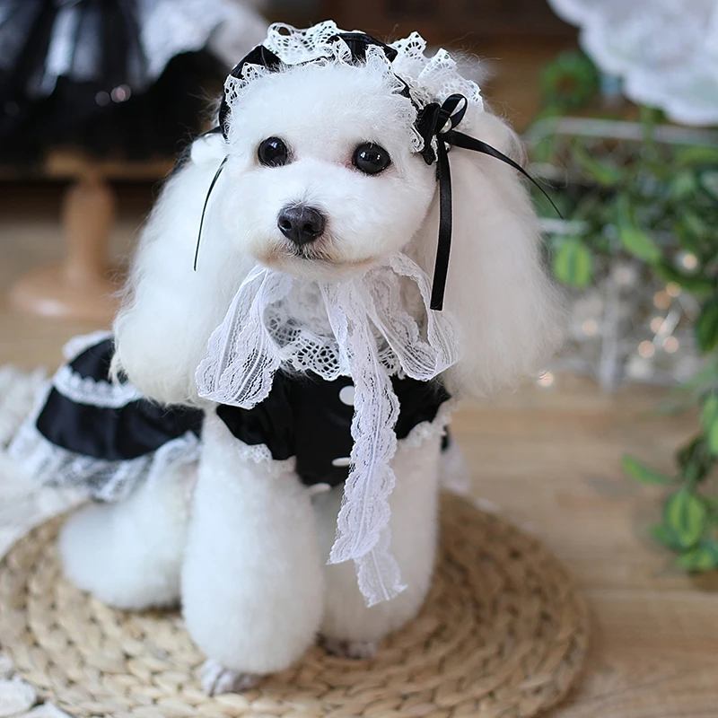 

2021 New Black Maid Pet Dress Lolita Dresses Cat Puppy Skirt Teddy Yorkshire Maltese Pomeranian Poodle Bichon Small Dog Clothes