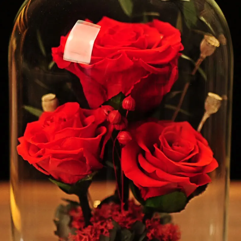 

Eternal Preserved Rose In Glass Dome Beauty and the Beast Real Flower Forever Love Wedding Favor Party Gifts for Home Decor