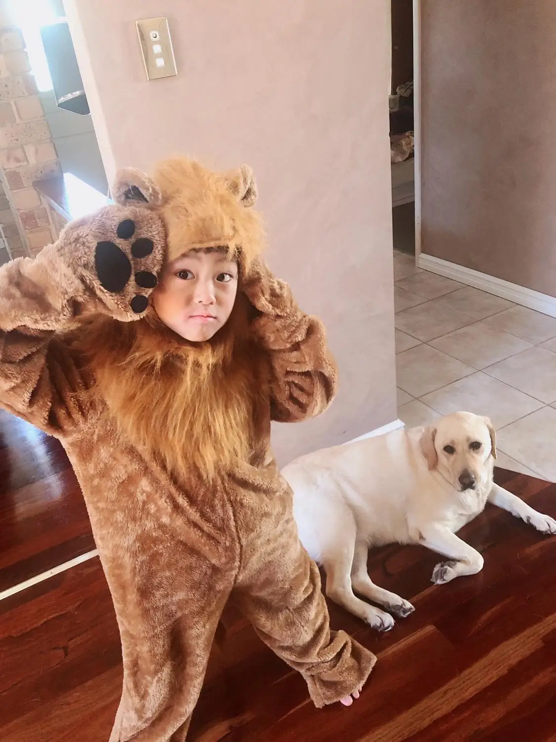 Дороти пугало тинман волшебник лев костюм для маленьких детей животных день