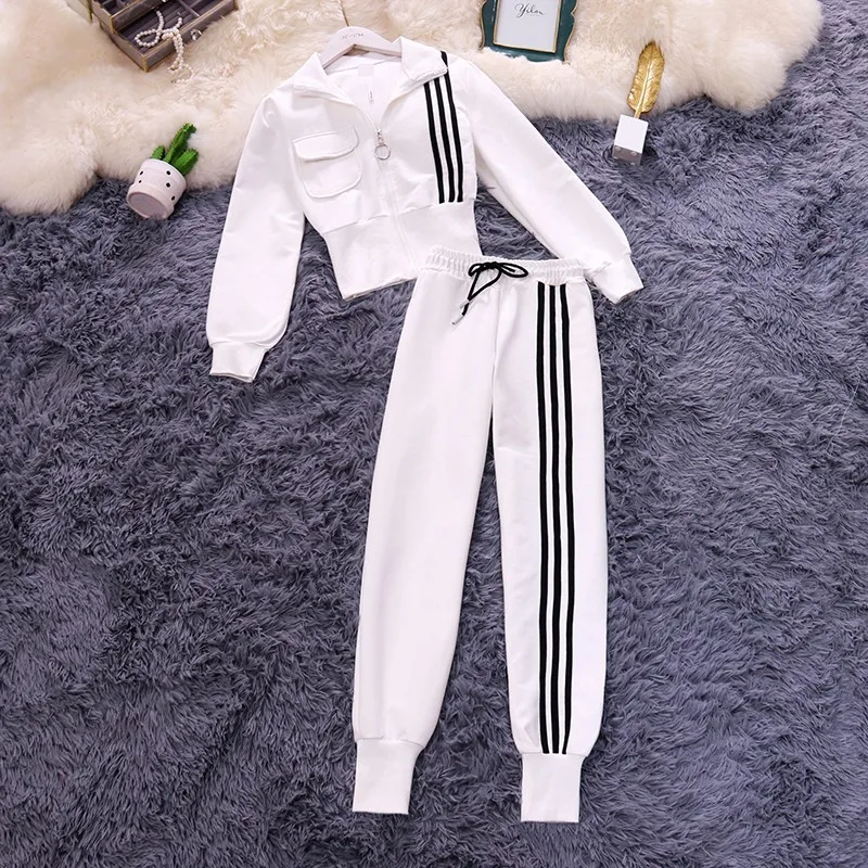 

Spring 2020 new stand collar lantern sleeve short coat high waist stripe nine-point lantern pants casual suit female autumn