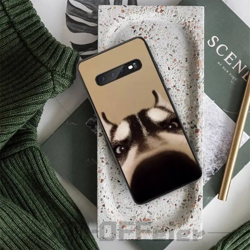 Роскошный брендовый чехол с забавными собаками хаски чехлы для samsung galaxy S8 S9 S10e S20