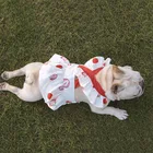 Одежда для собак для маленьких собак, летнее платье для французского бульдога, платье для Йорка, для чихуахуа, оригинальный костюм из хлопка