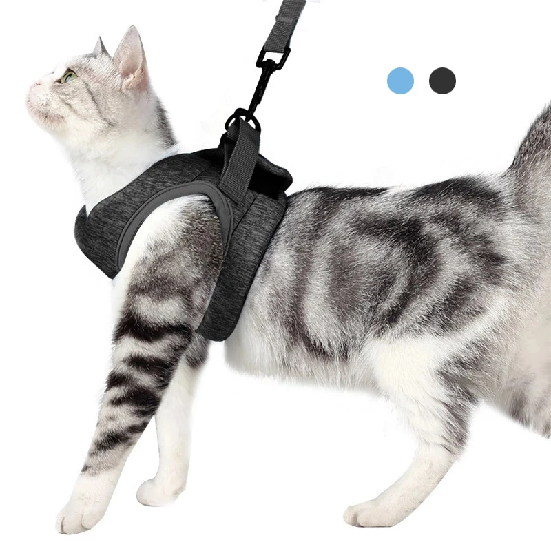 Ошейник для кошек WAZIR удобные легкие мягкие эластичные ремни котят прогулок и