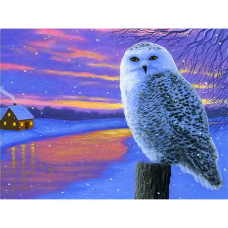 

Алмазная живопись, полная квадратная фотокартина, алмазная вышивка 5D своими руками, вышивка крестиком, мозаика в виде совы, распродажа, Деко...