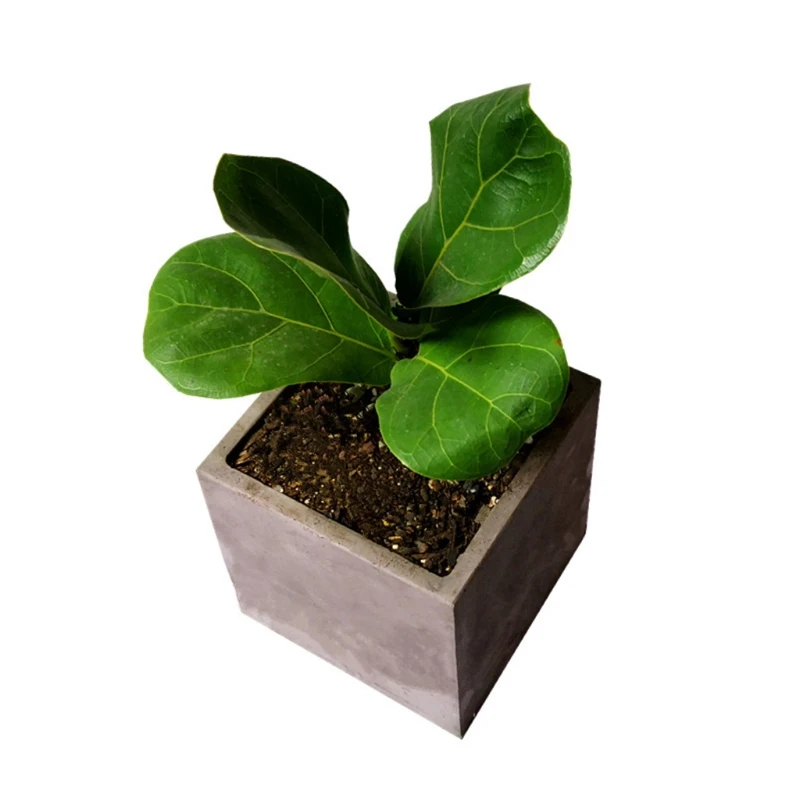 

N0HE Large 12cm Square Concrete Flower Pot Silicone Mold Succulent Planter Silicone Mold Homemade Succulent Plant Pot Molds