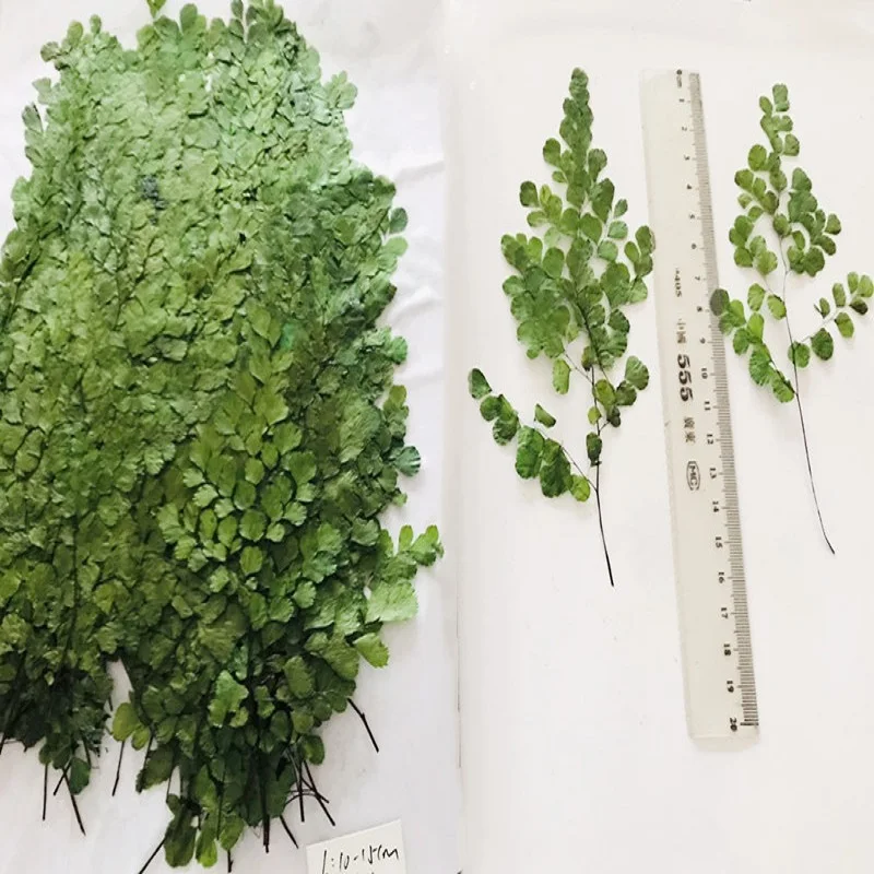 

120 шт., 6-12 см Аксессуары для изготовления украшений