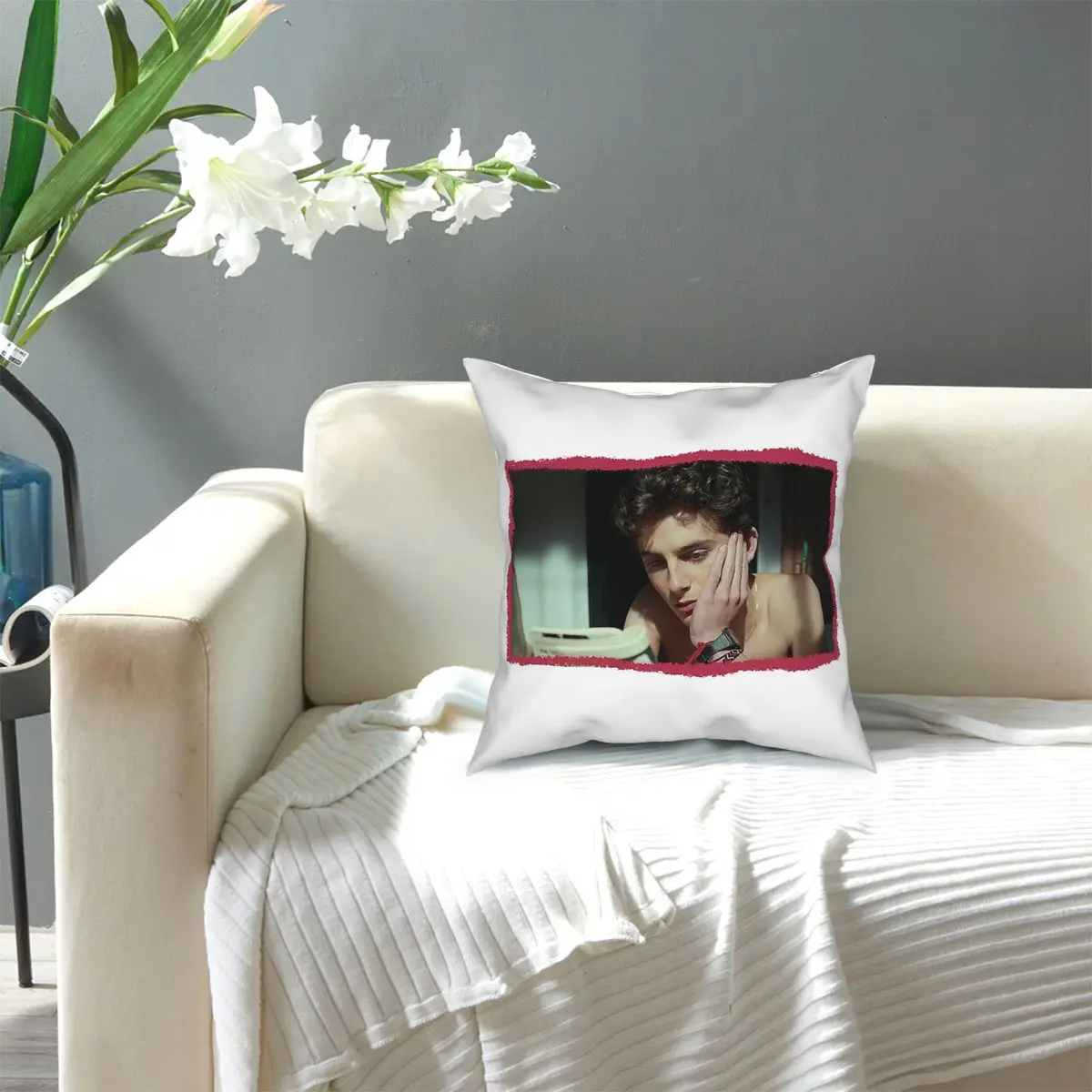 

Timothee Chalamet In Call Me By Your Name Throw Pillow Cover Cushions for Sofa Funny Pillowcover Home Decor