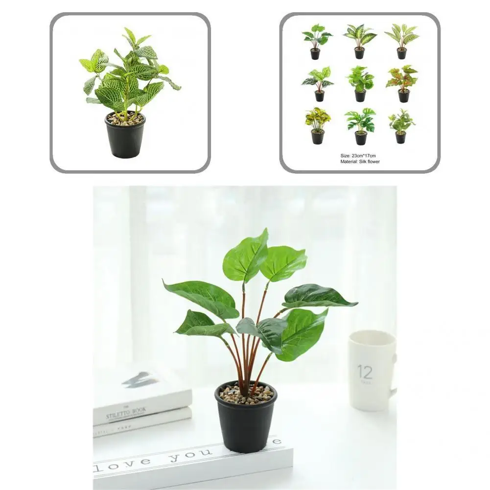 

Прочный легкий привлекательный ослепительный бонсай для сада