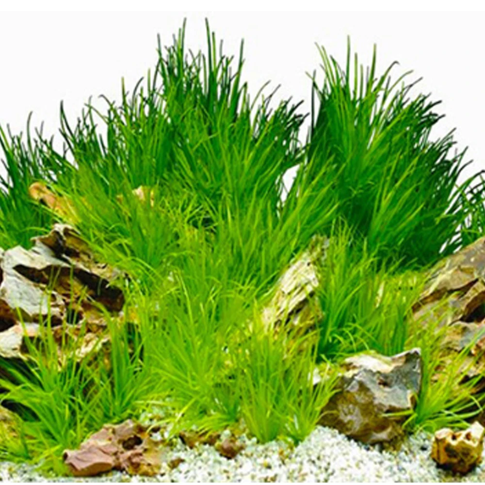 3D наклейка с пейзажем плакат аквариума фон картина стикер высокой четкости