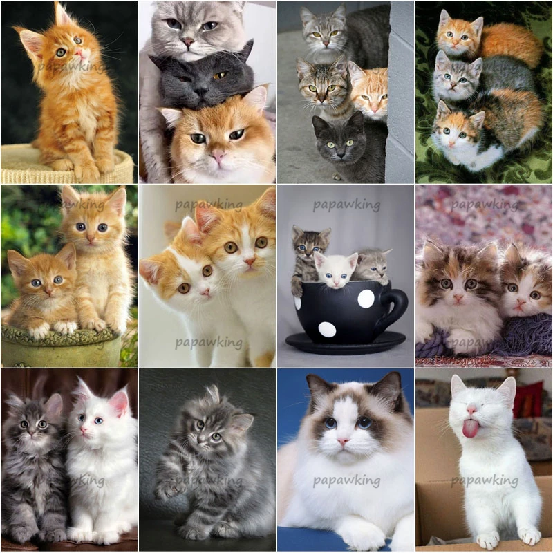 

Cute Cats Diamond Painting 5D Full Diamond Embroidery Cross Stitch Kit Mosaic Pictures Handicraft Wall Art Home Decoration Gifts