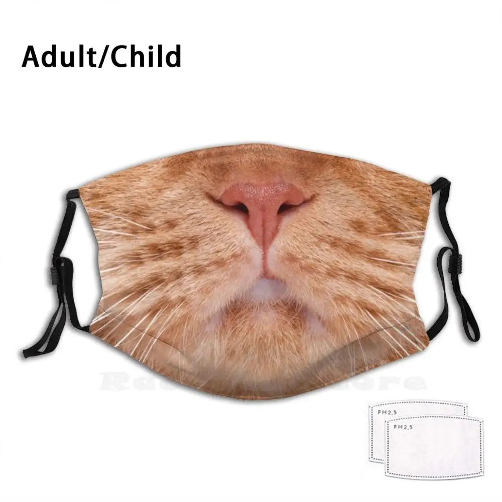 Лицевая маска в виде кошки Забавный дизайн со смешным рисунком многоразовые Pm2.2900