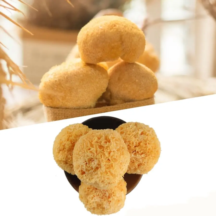 

Organic Dried Lion's Mane Bearded Tooth Mushrooms Hericium Natural Organic Dried Hericium Erinaceus, Lion Mane, Good Quality