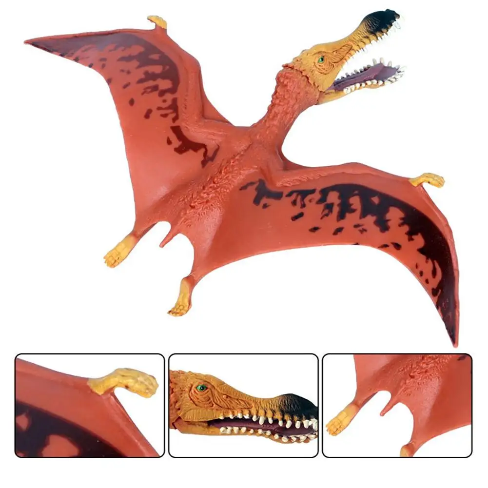 

Simulation Anhanguera Dinosaur Figurine Model Desktop Decoration Children Toy