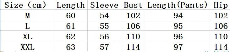 2020 осенние элегантные комплекты из двух предметов наряды для женщин плюс размер