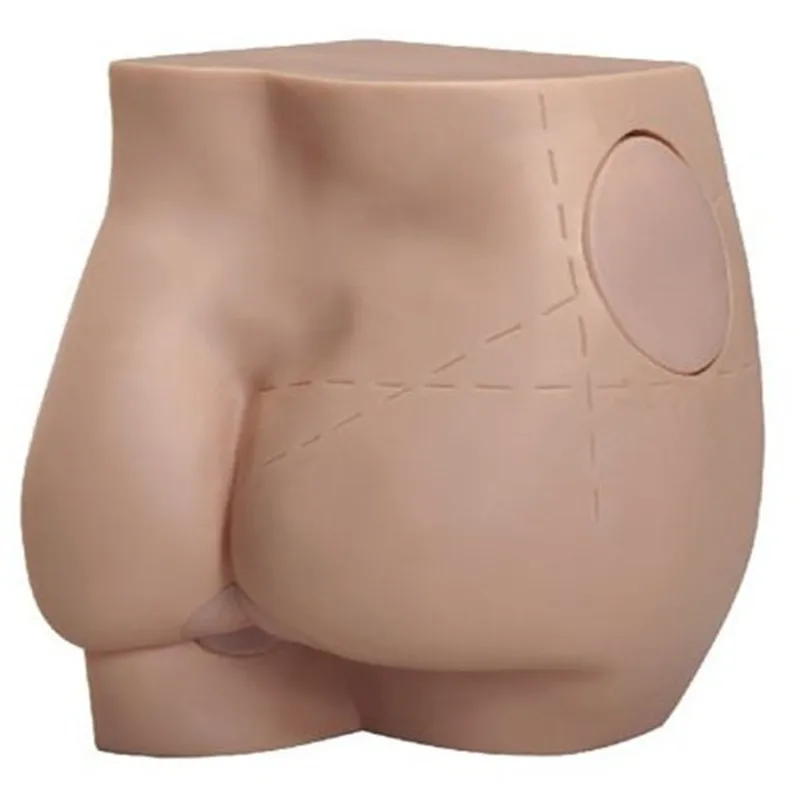 

Hip Injection Training Model Buttock Muscle Injection Training teaching tools skeleton human anatomy model Medical supplies