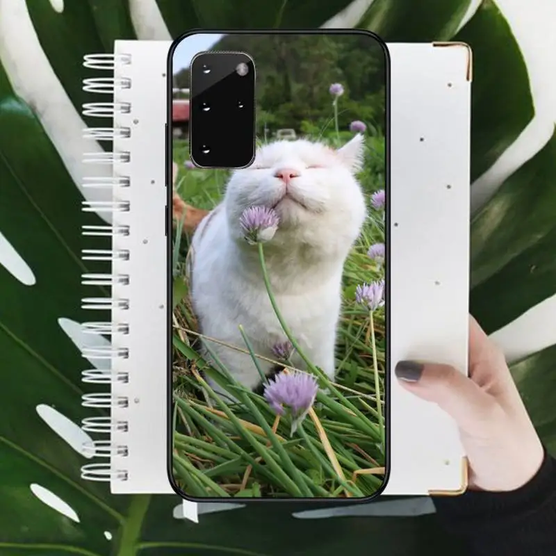 

CAT funny cute animal Phone Case For Samsung galaxy S 9 10 20 A 10 21 30 31 40 50 51 71 s note 20 j 4 2018 plus